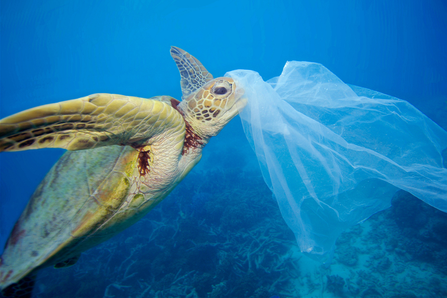 Экология: чем заменить пластик